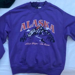 Purple “Alaska” cropped sweatshirt from H&M